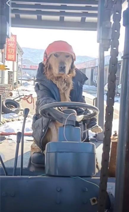 忠诚的员工